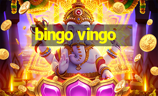 bingo vingo