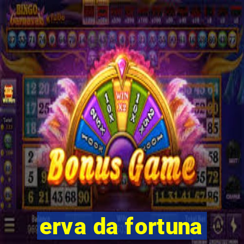 erva da fortuna