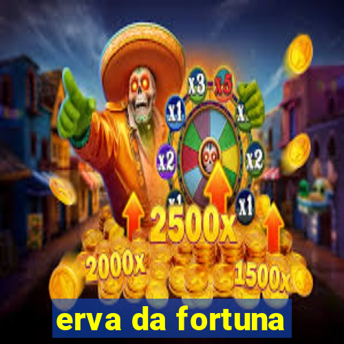 erva da fortuna