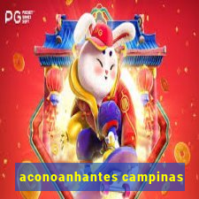 aconoanhantes campinas