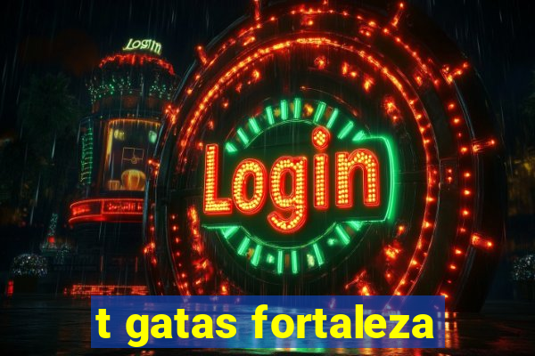 t gatas fortaleza