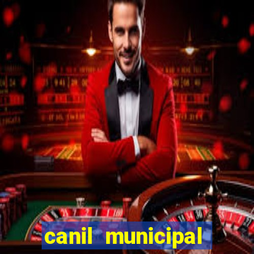 canil municipal porto alegre