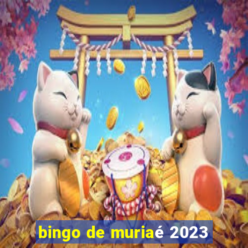 bingo de muriaé 2023