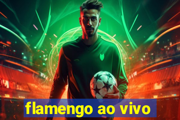 flamengo ao vivo