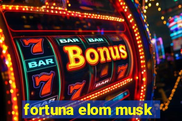 fortuna elom musk