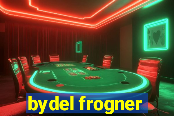 bydel frogner