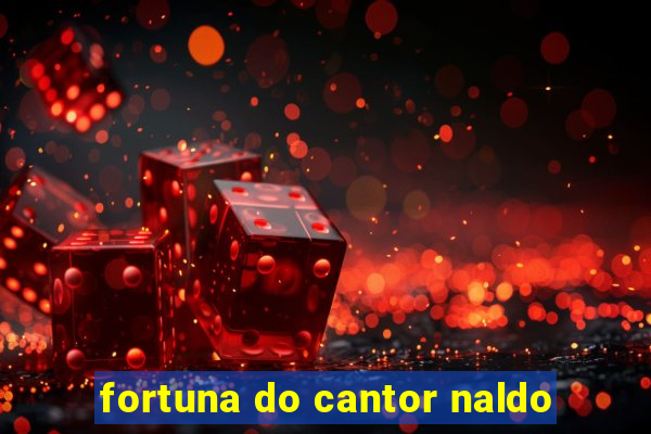 fortuna do cantor naldo