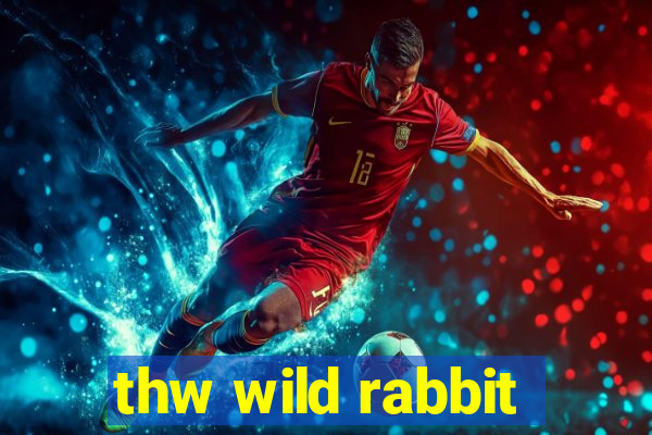 thw wild rabbit