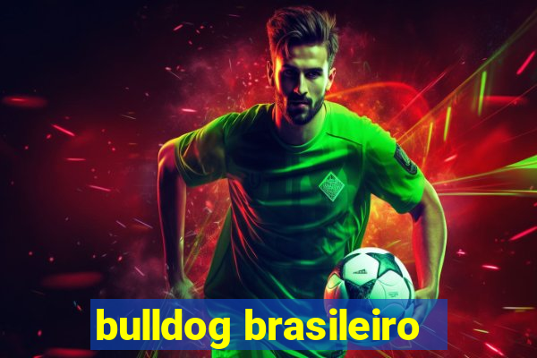 bulldog brasileiro