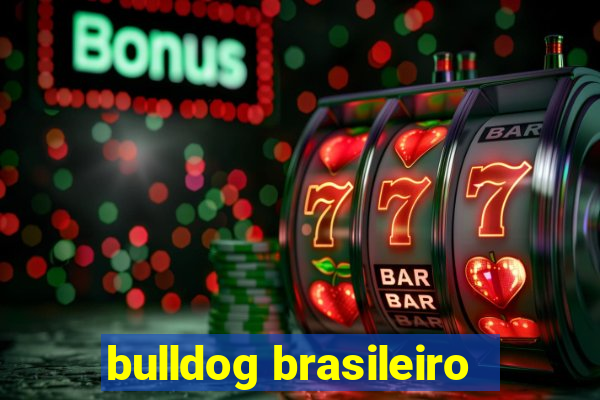 bulldog brasileiro