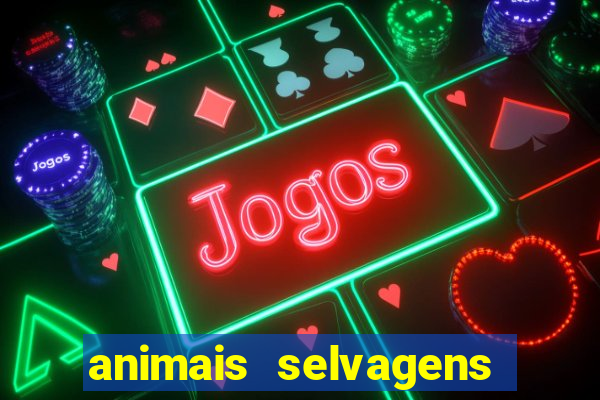 animais selvagens fotos e nomes