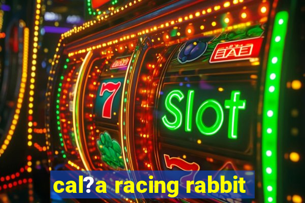 cal?a racing rabbit