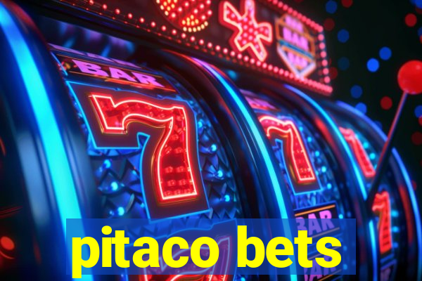 pitaco bets