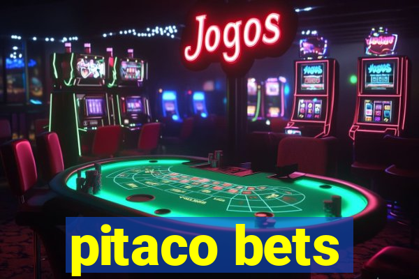 pitaco bets