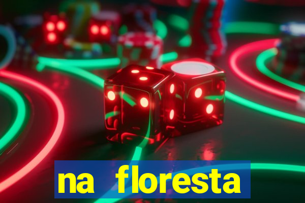 na floresta encantada meme