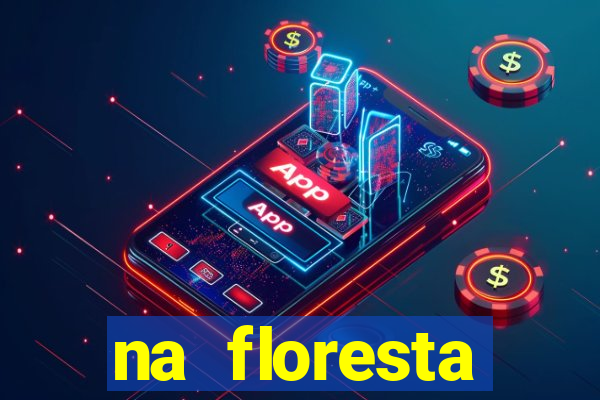 na floresta encantada meme