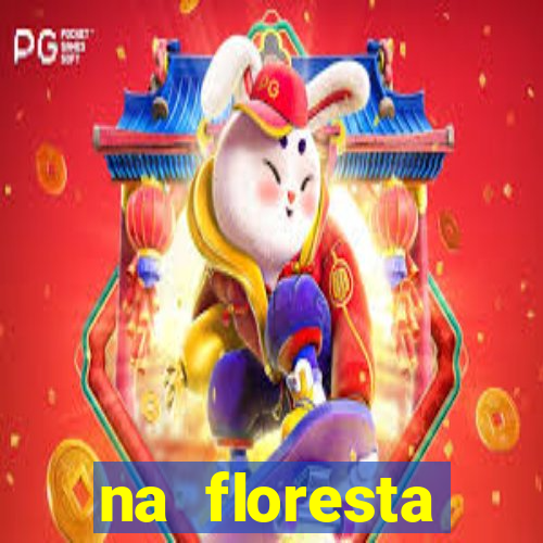 na floresta encantada meme