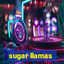 sugar llamas