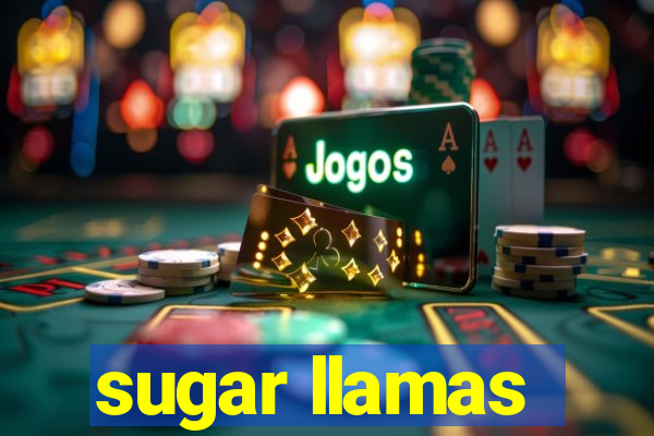 sugar llamas