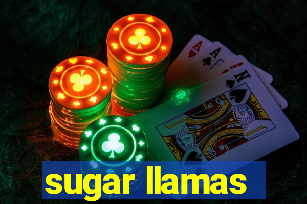 sugar llamas