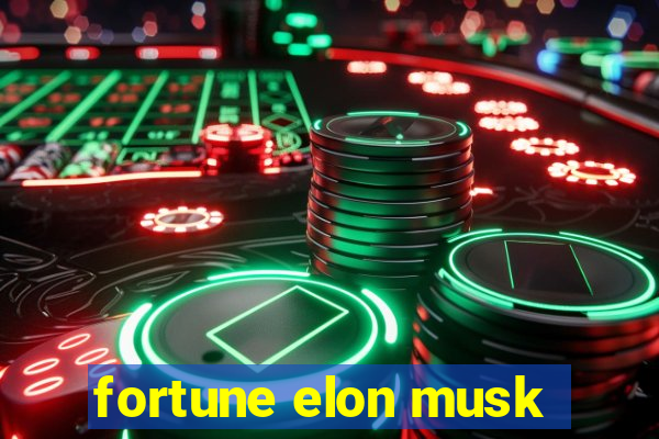 fortune elon musk