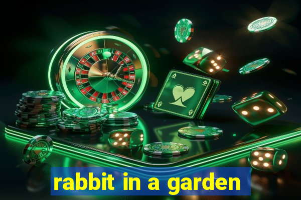 rabbit in a garden