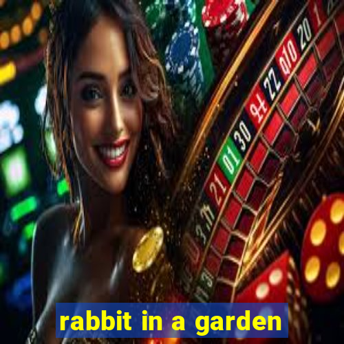 rabbit in a garden