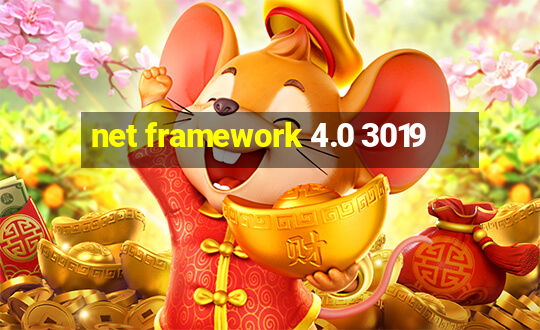 net framework 4.0 3019