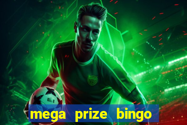 mega prize bingo paga mesmo