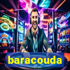 baracouda