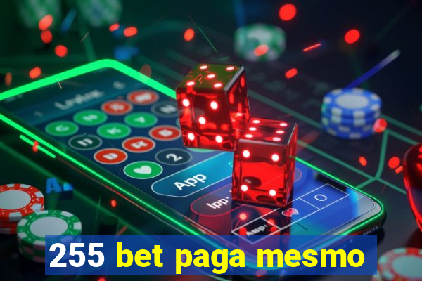 255 bet paga mesmo