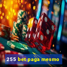 255 bet paga mesmo