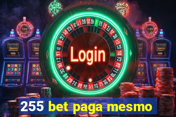 255 bet paga mesmo