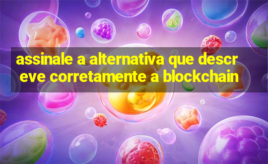 assinale a alternativa que descreve corretamente a blockchain