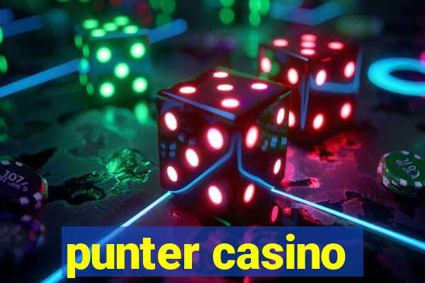 punter casino