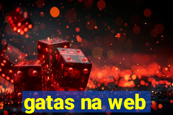 gatas na web