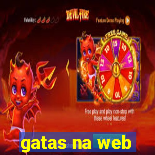 gatas na web