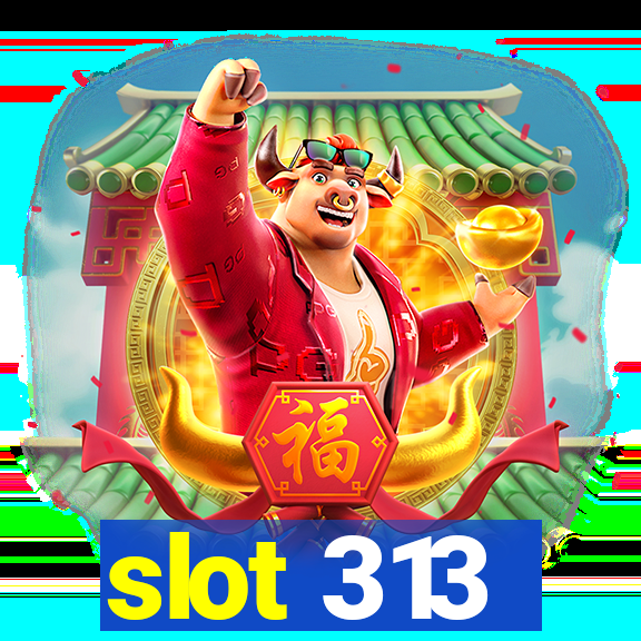 slot 313