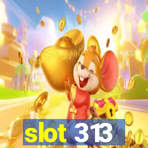 slot 313