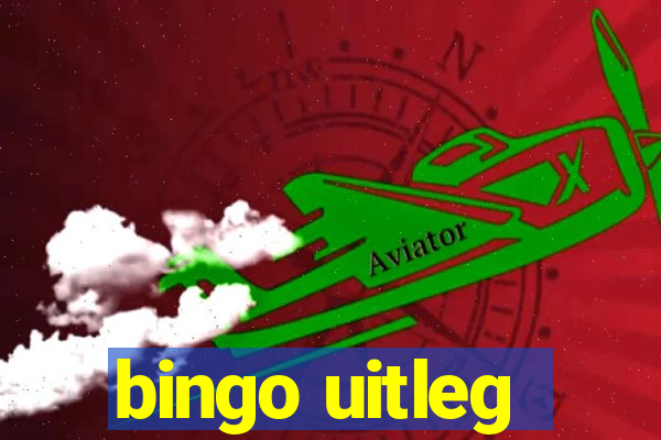 bingo uitleg