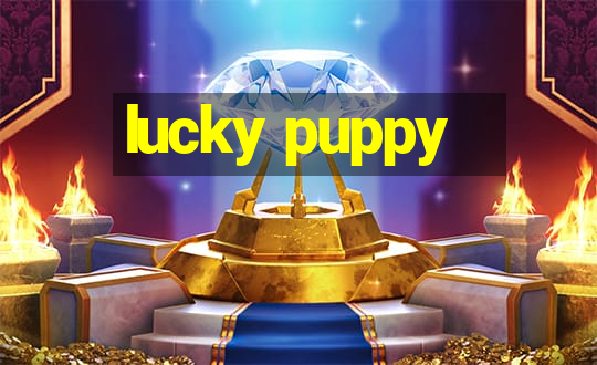 lucky puppy