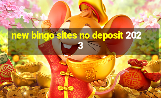 new bingo sites no deposit 2023