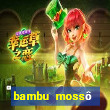 bambu mossô natural preço