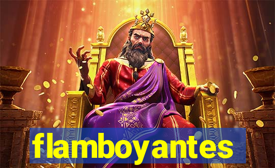 flamboyantes