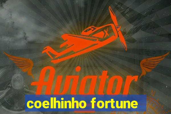 coelhinho fortune