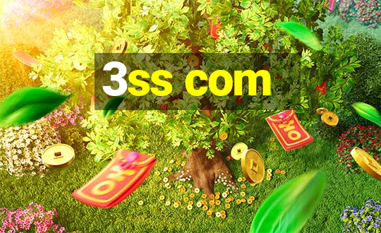 3ss com