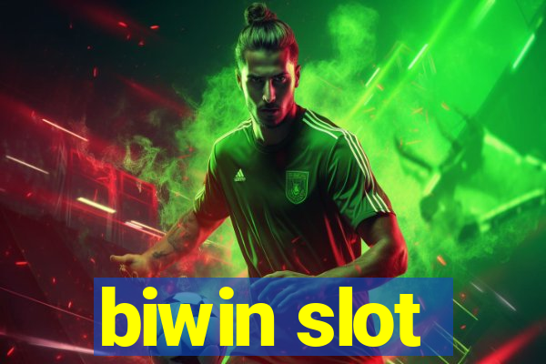 biwin slot