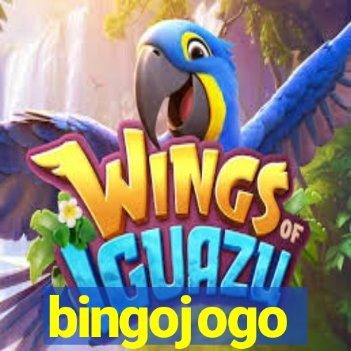 bingojogo