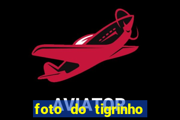 foto do tigrinho do jogo