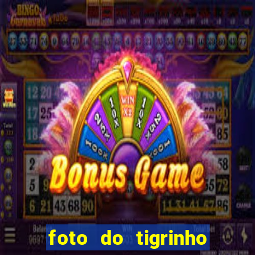 foto do tigrinho do jogo